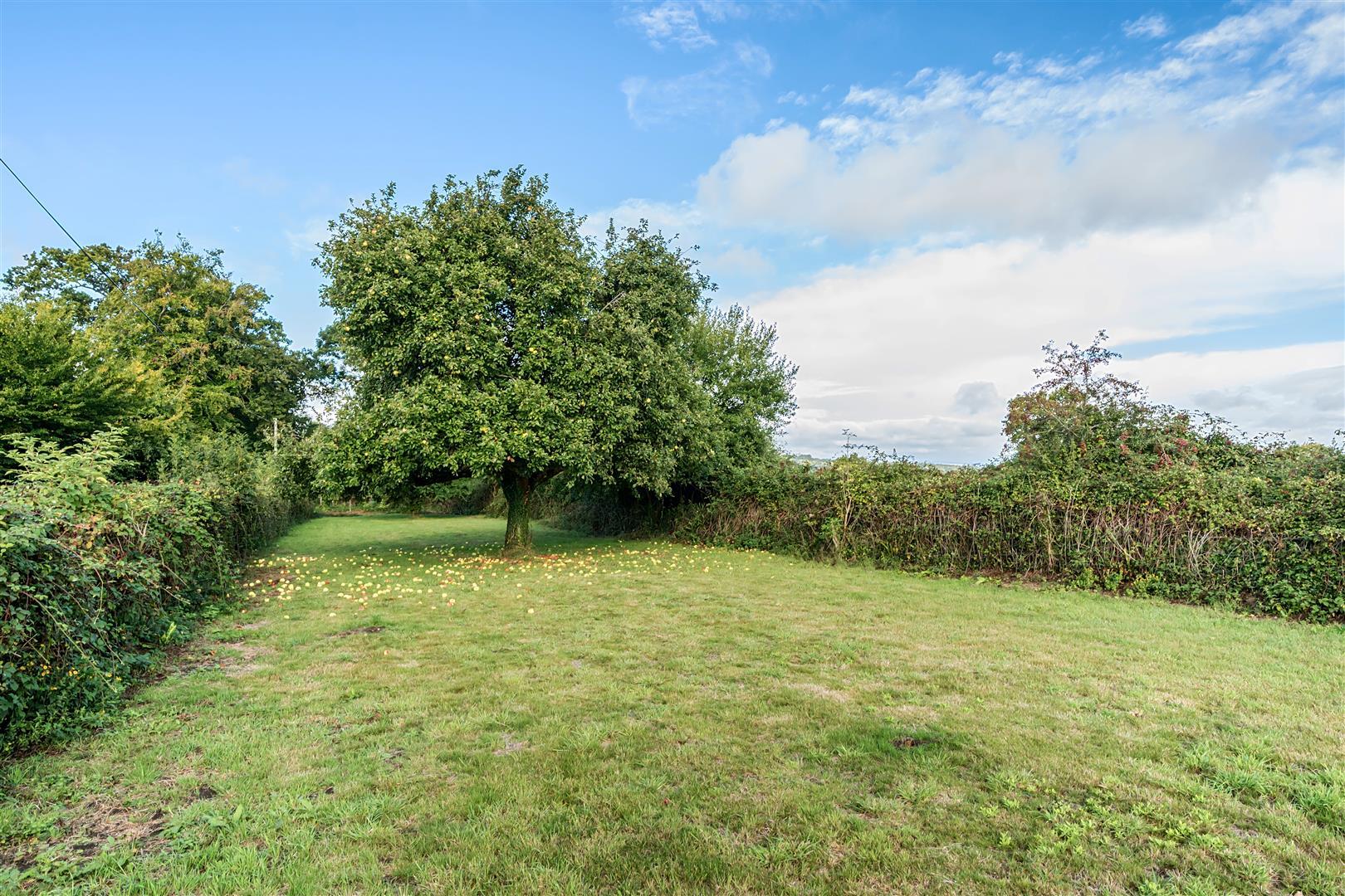 Property Image 609ad817-3c21-44ff-8c7f-4abe732715f2