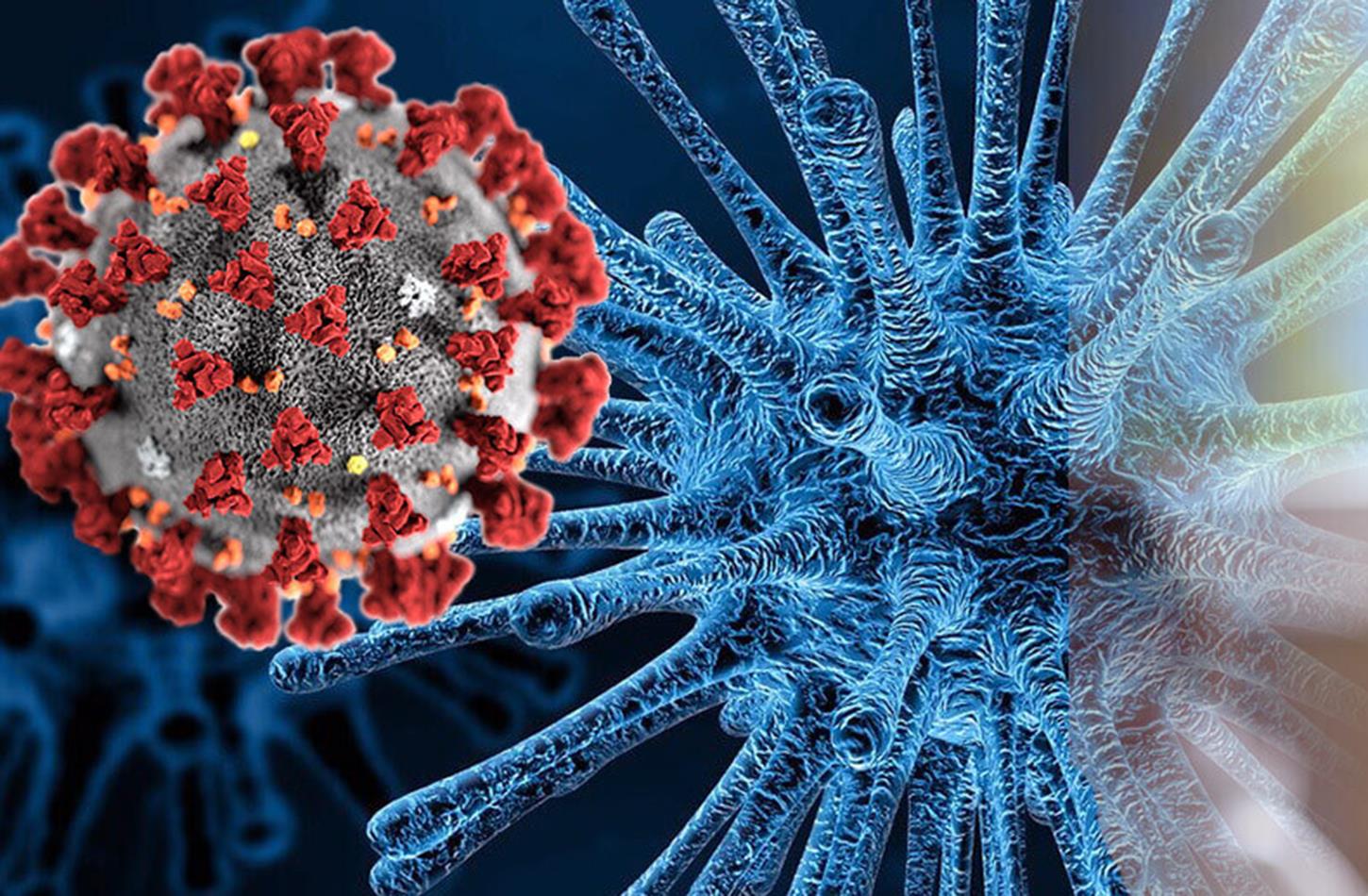 Coronavirus Covid 19 property advice