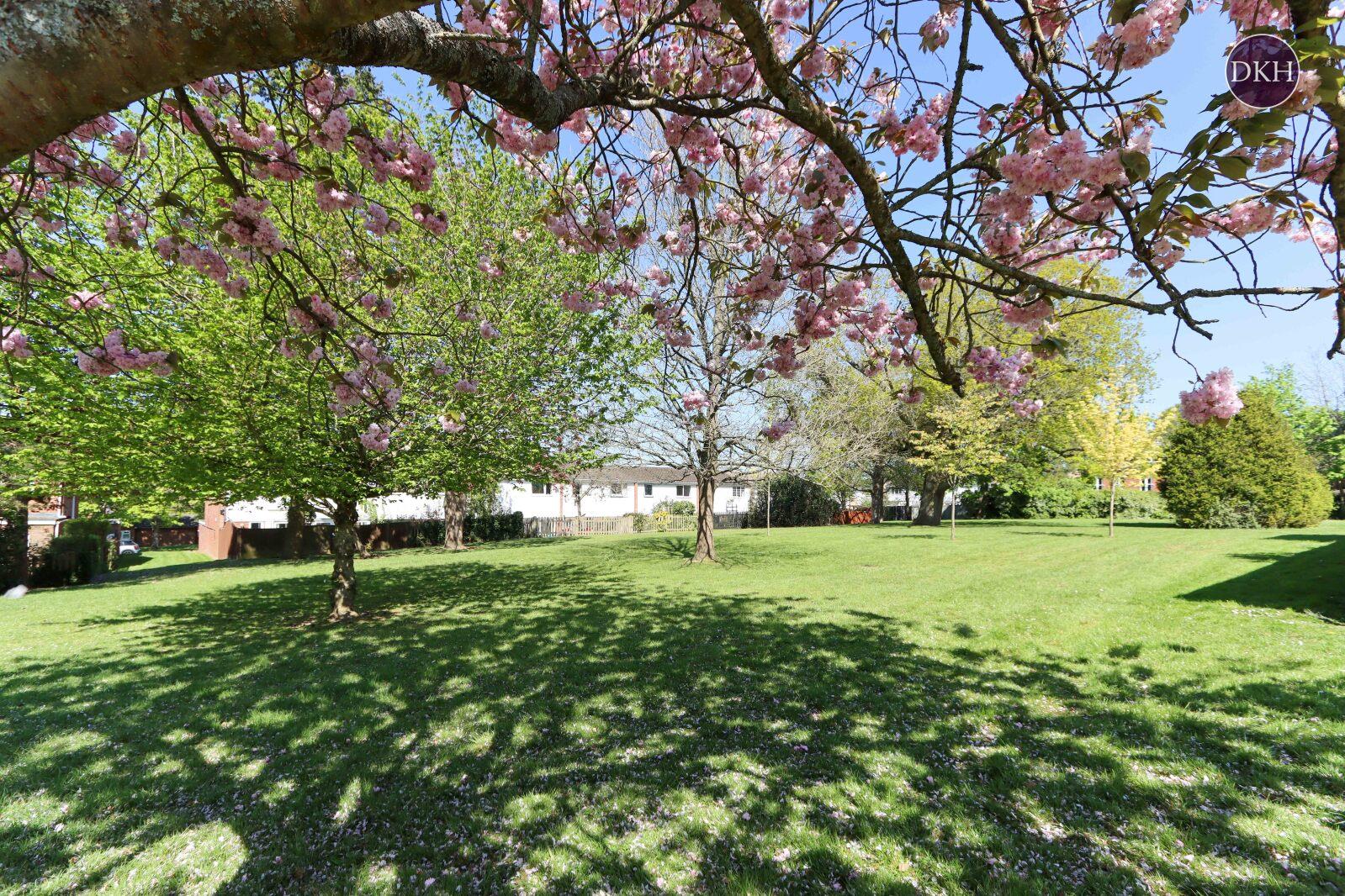 Property Image 60cfa506-9c00-4f6c-bfc1-2be537f8f77b