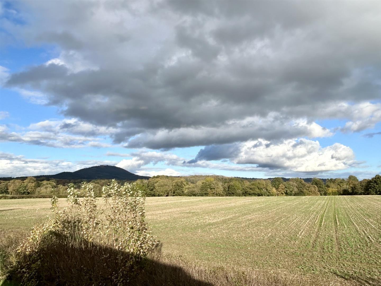 Property Image 60e5f081-3e36-41fc-9cbb-252f3222240c