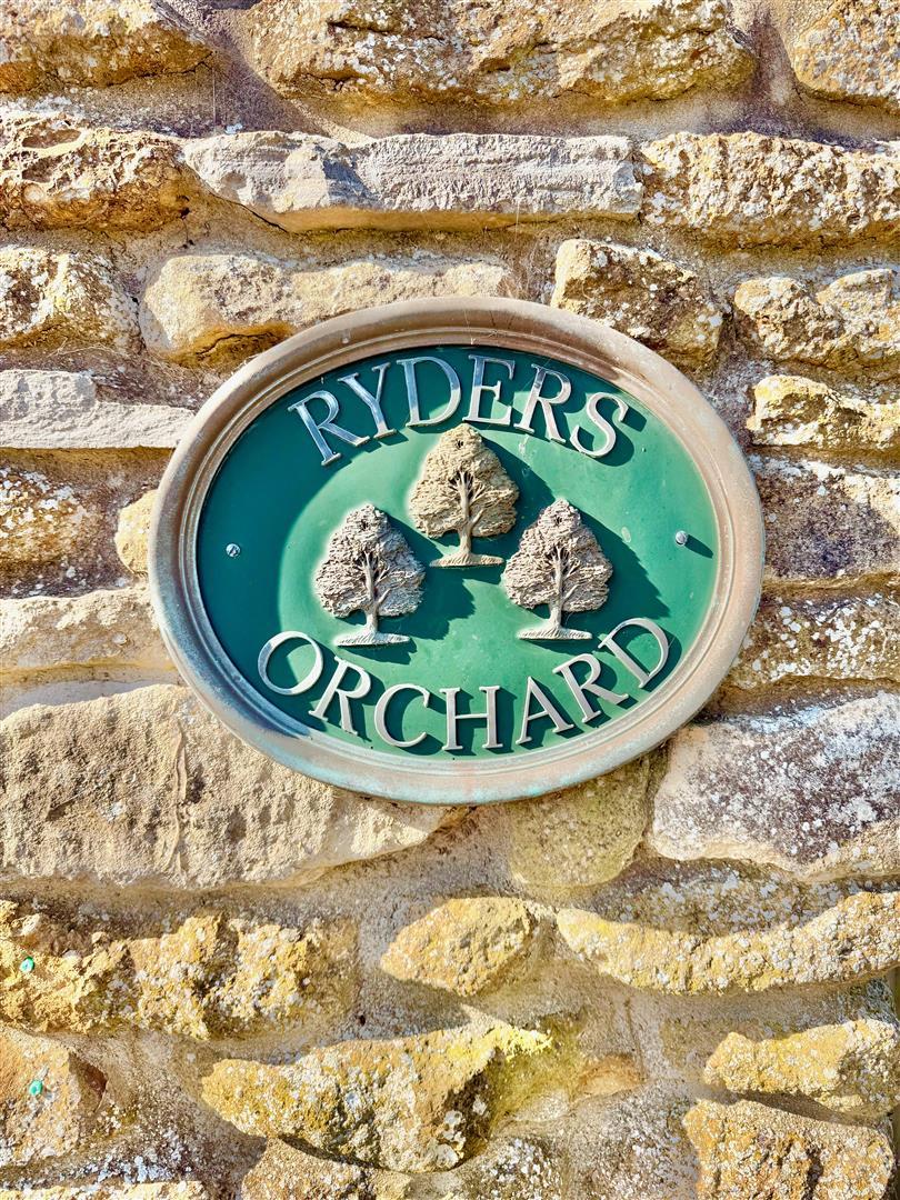 Image 29