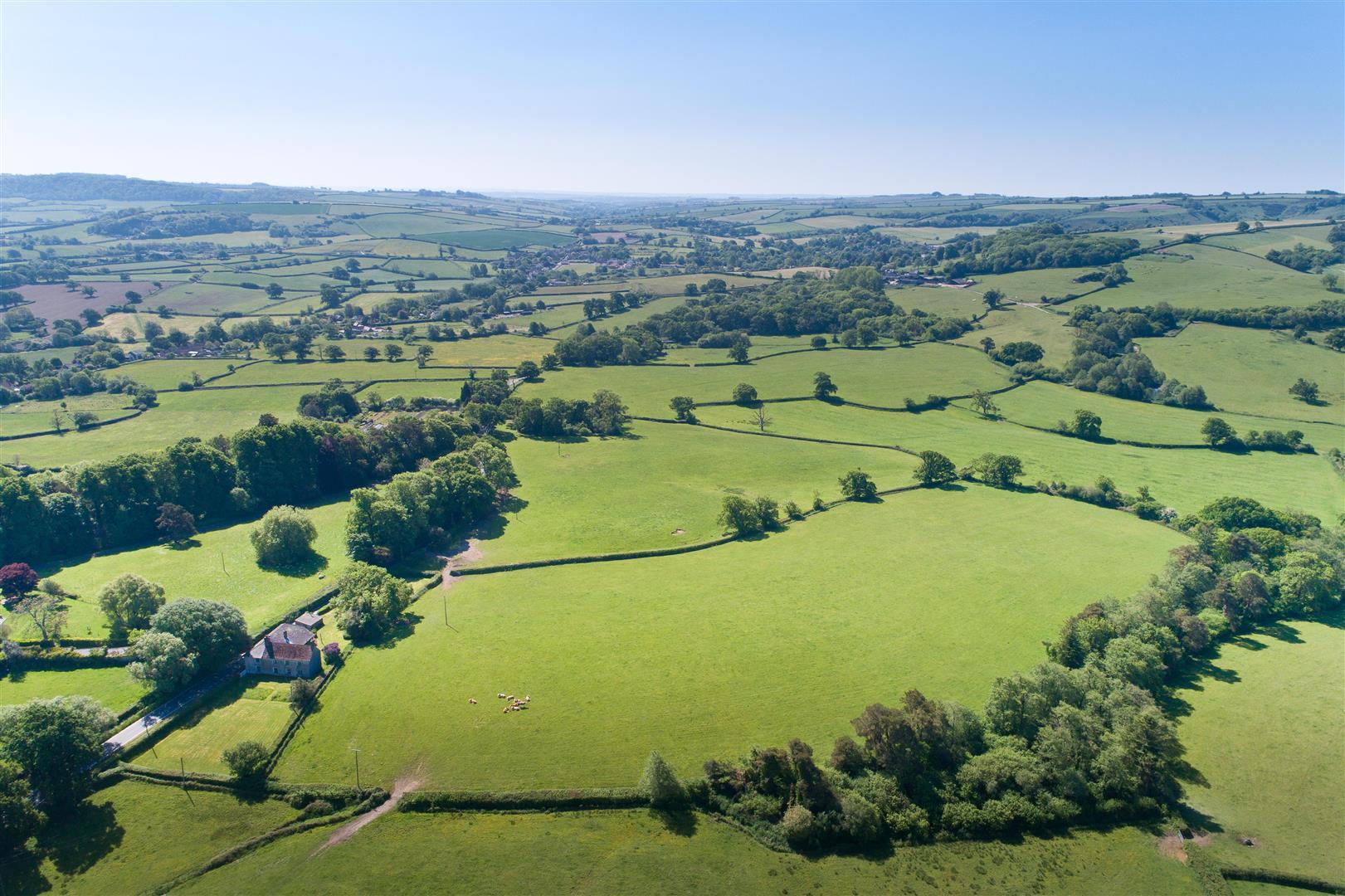 Property Image 6139e7c3-3d3e-4076-b8ac-787bdb1fffa0