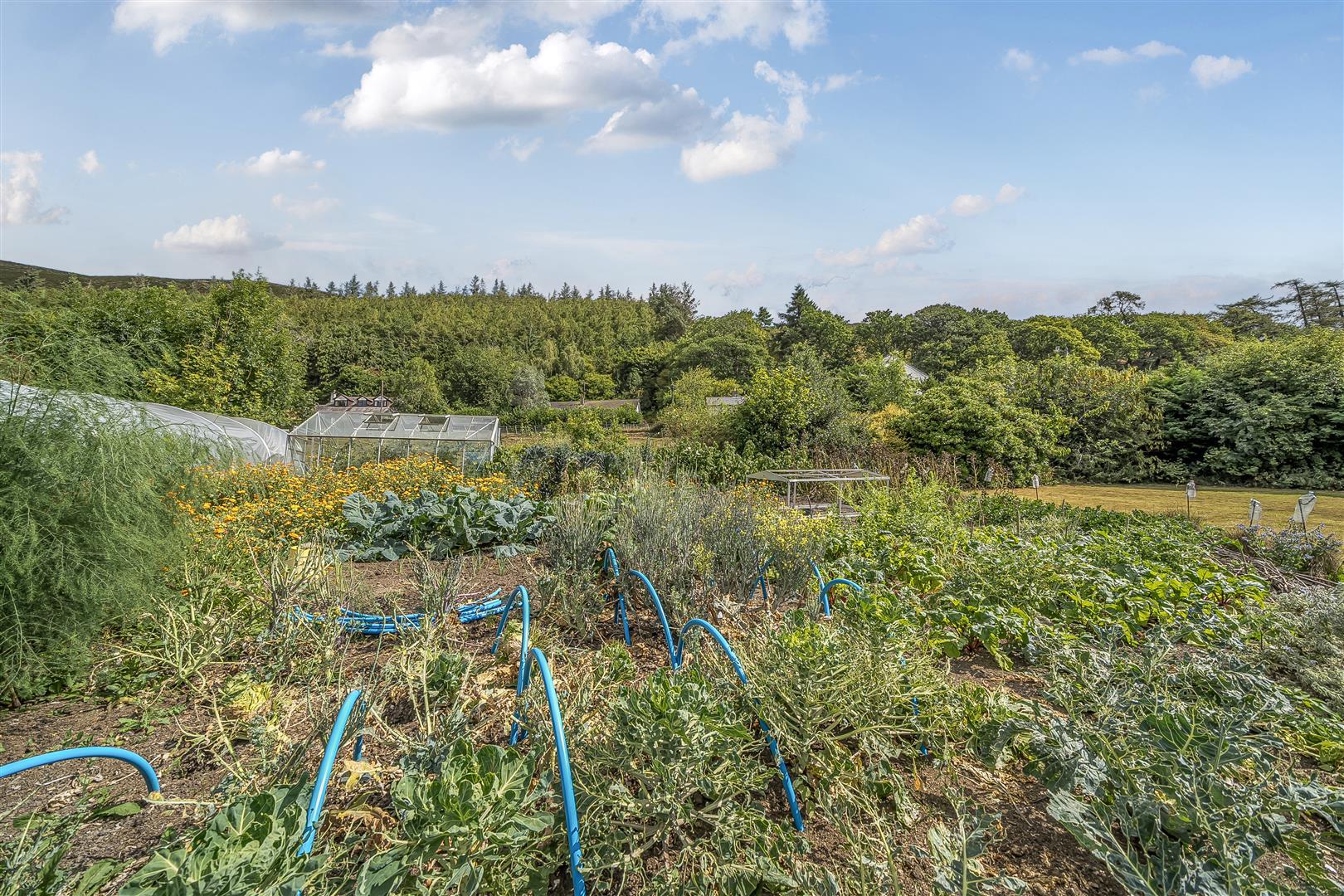 Property Image 613beede-5316-45a9-9fb2-54c4632c1dda