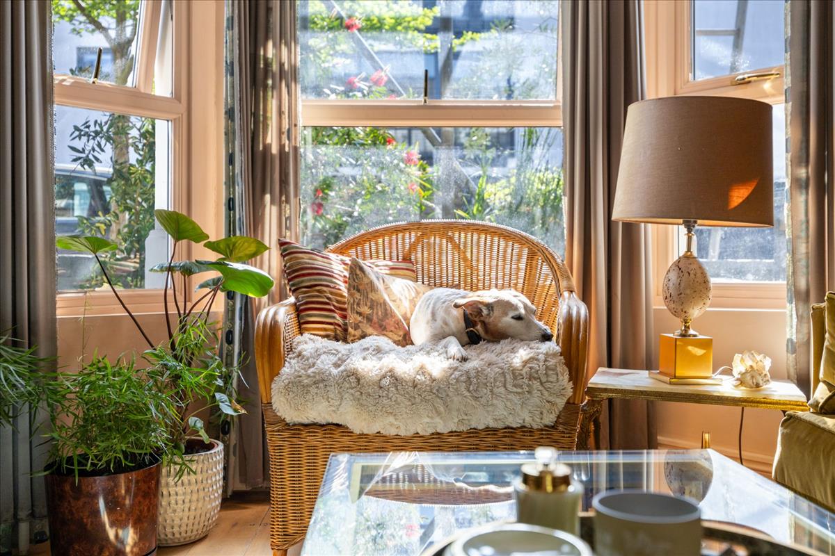 Property Image 615354da-9109-4deb-aae0-c17475d04fd4