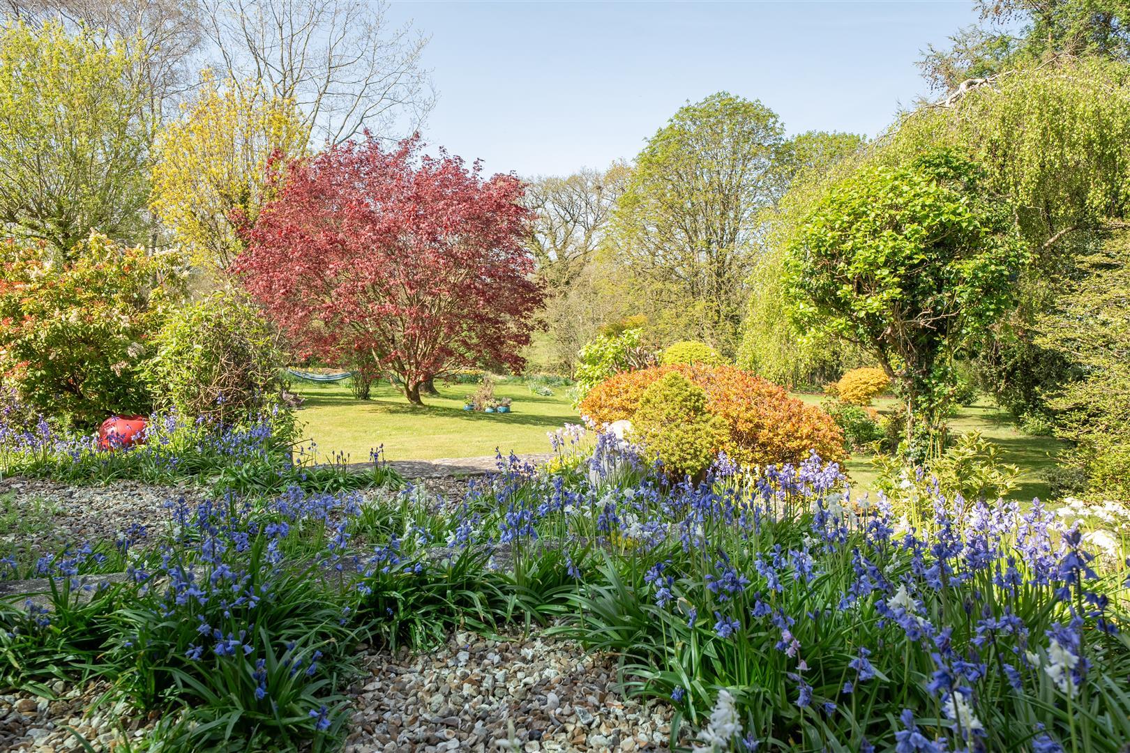 Property Image 617c3cee-bd2d-42d0-b471-b6809588a4aa