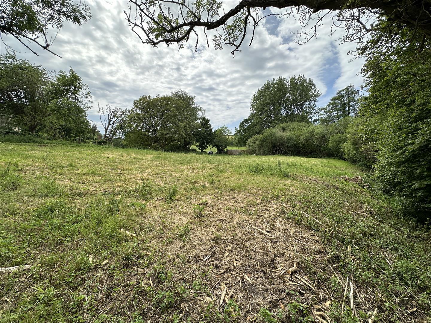Property Image 61b6af3f-a09a-41ba-a5ed-52a71630cbcb