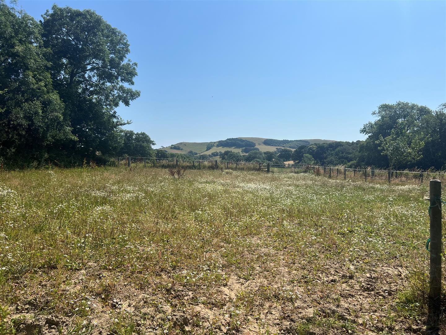 Property Image 61ef4e85-7d04-4b7c-ba81-960eec0aa3bf