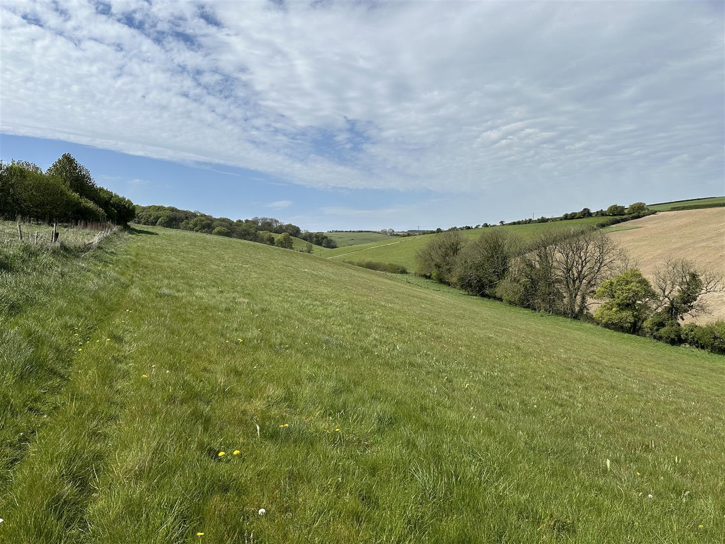 Property Image 61f137a5-19eb-45d0-aa5f-bb56302f6574