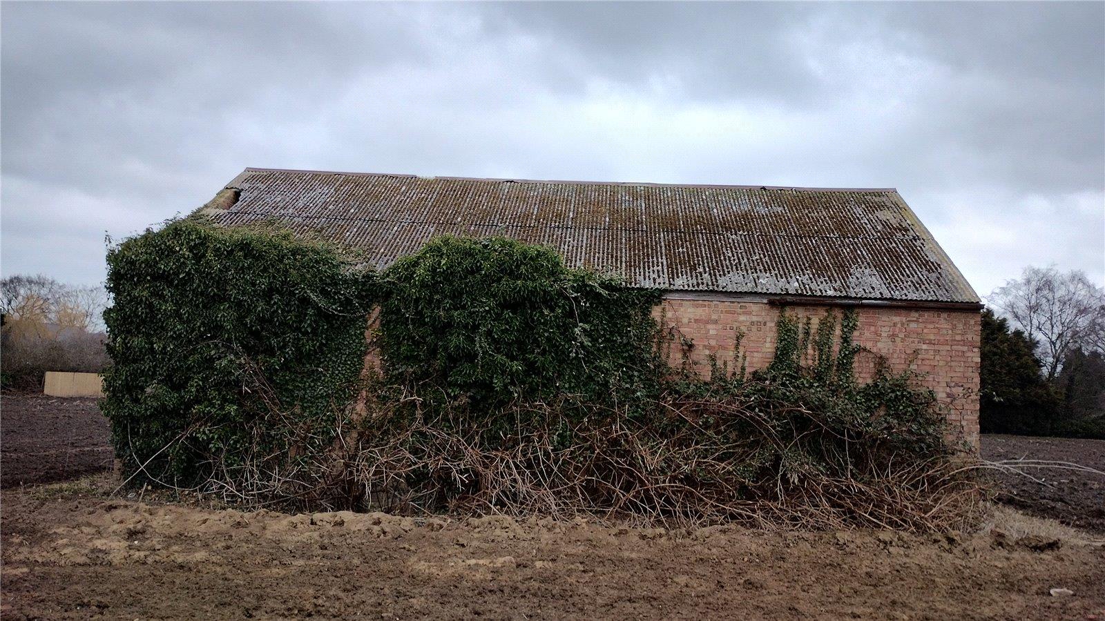 Image 8