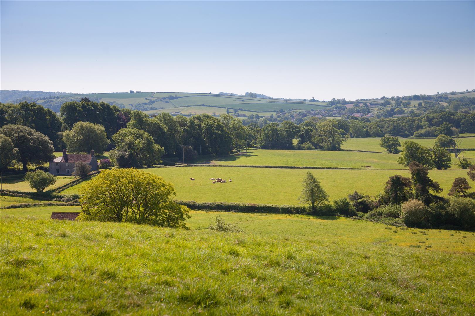 Property Image 6212506c-4d81-408d-aa93-3955cdd3cefa
