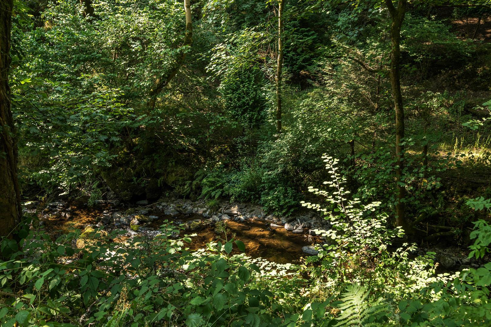 Property Image 621a057f-d562-4701-a4fb-b0b67bce2aea