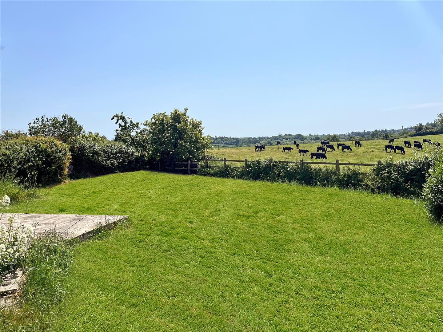Property Image 6258a125-7af7-41e9-9cac-81201dae7f92