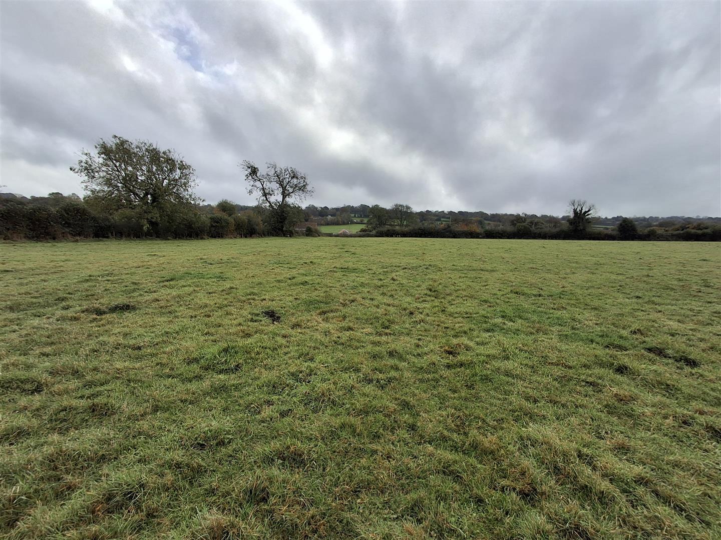 Property Image 625a280c-5a19-48d9-894f-8d828021e8ce