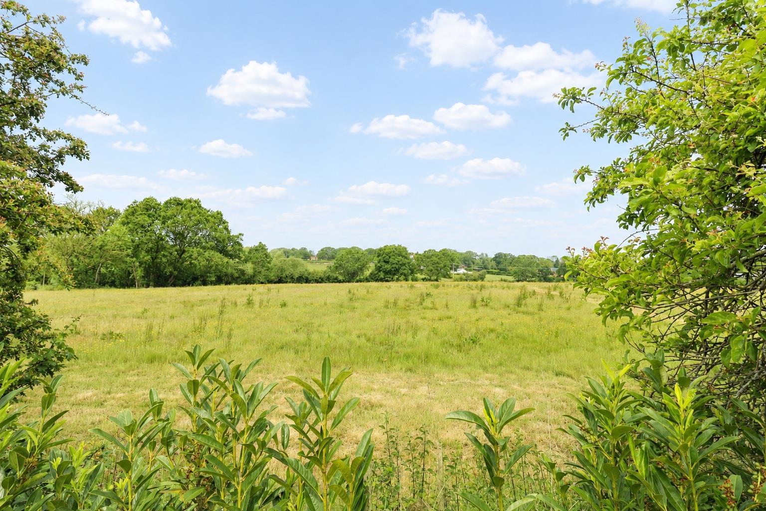 Property Image 627337ba-89ef-44ab-b32c-cbf45b054b6f