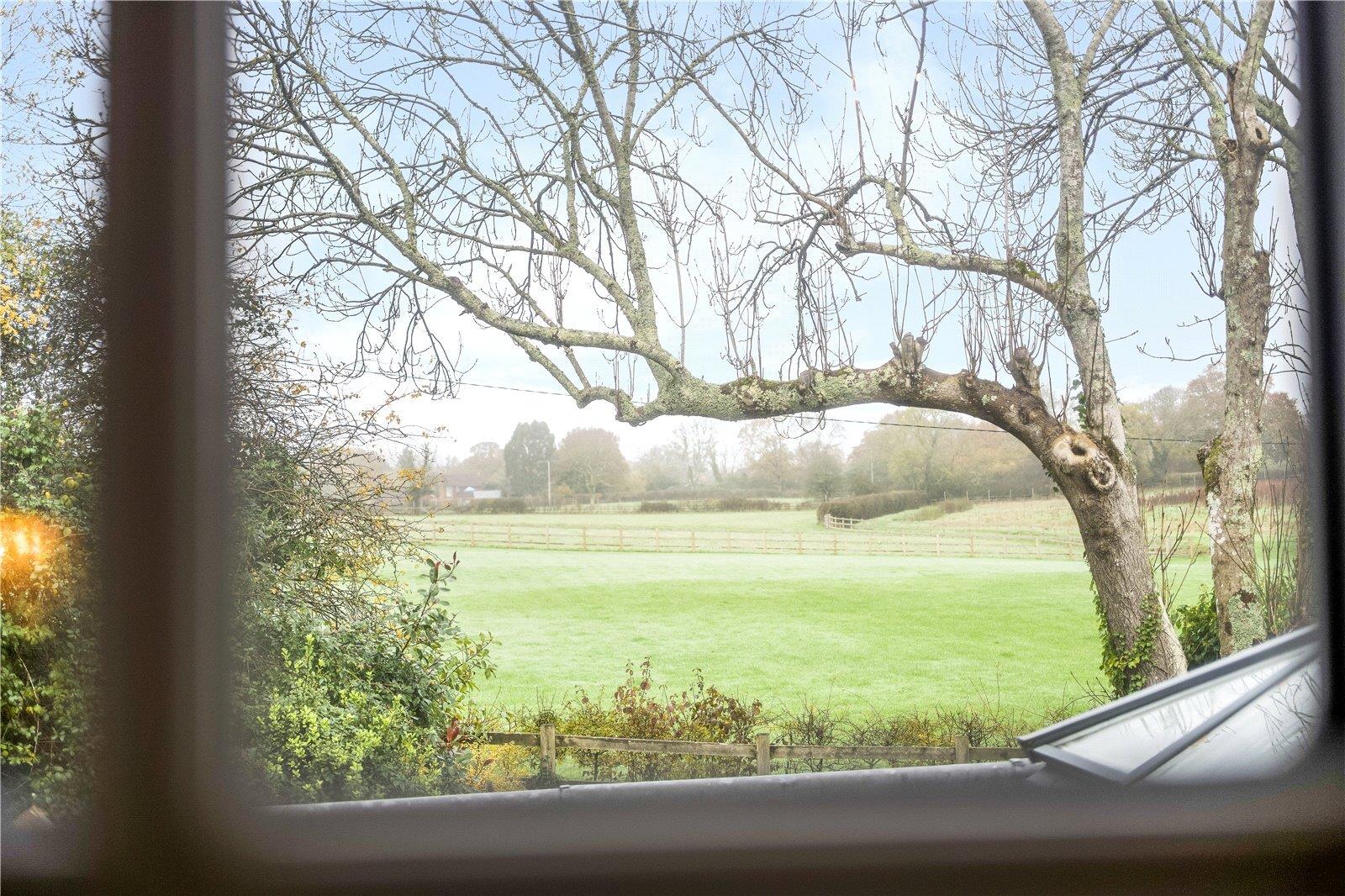 Property Image 627c99a2-40ec-4b57-9646-9bb91948a695