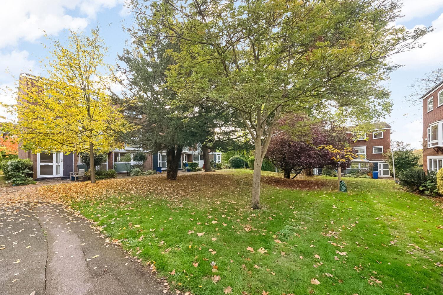 Property Image 62e404b2-24b2-4f49-a0f9-58f6b57e7f50