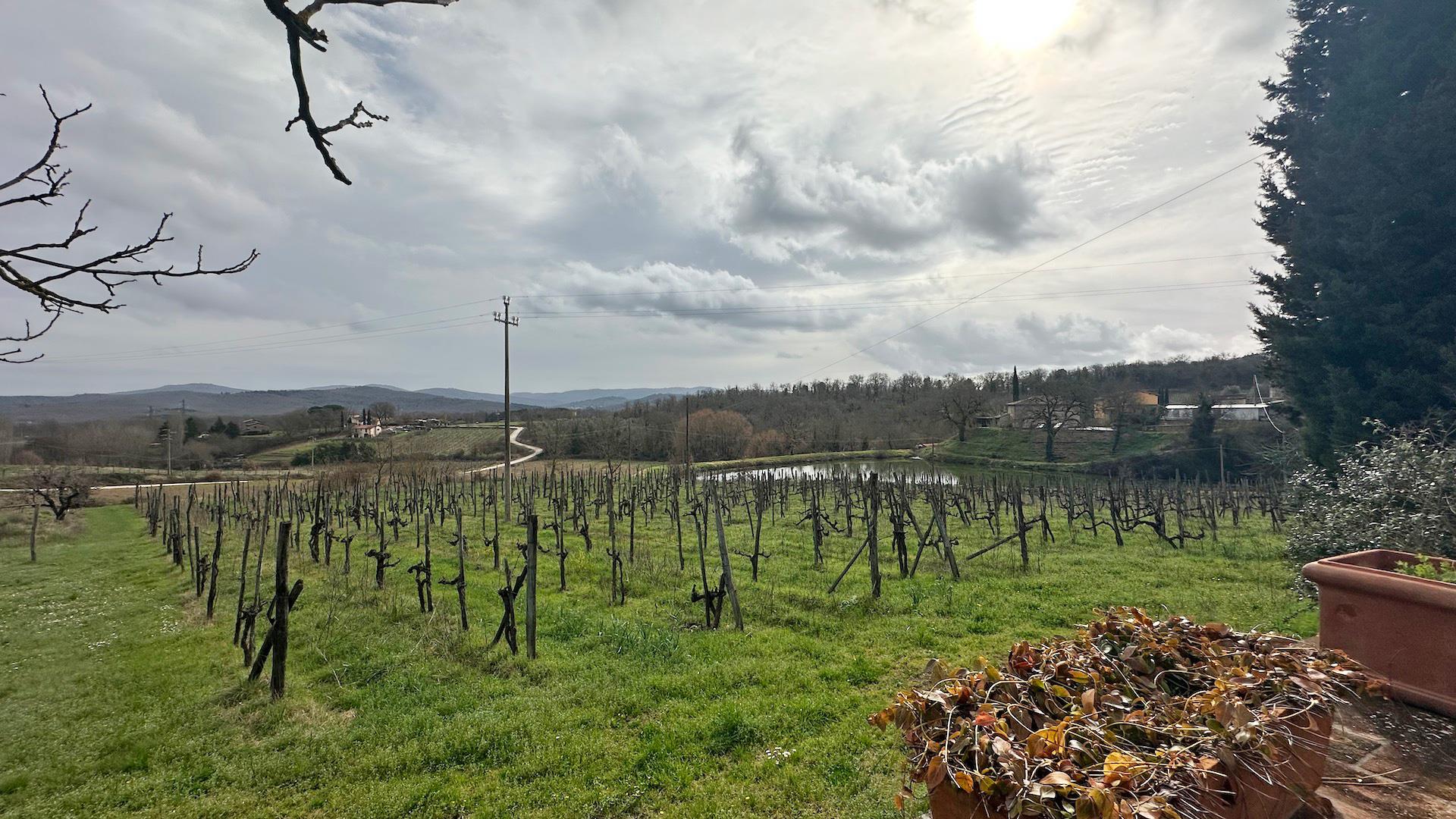 Property Image 62e837d7-417d-4cbc-a7ef-52fccd6a32f1