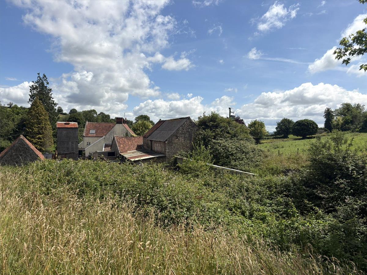 Image 23