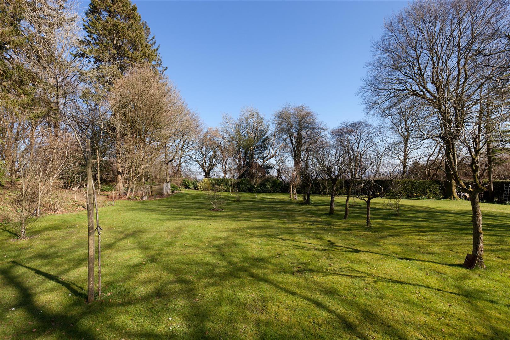 Property Image 6343d991-8df3-4187-8a7f-2fe20ce85bf9