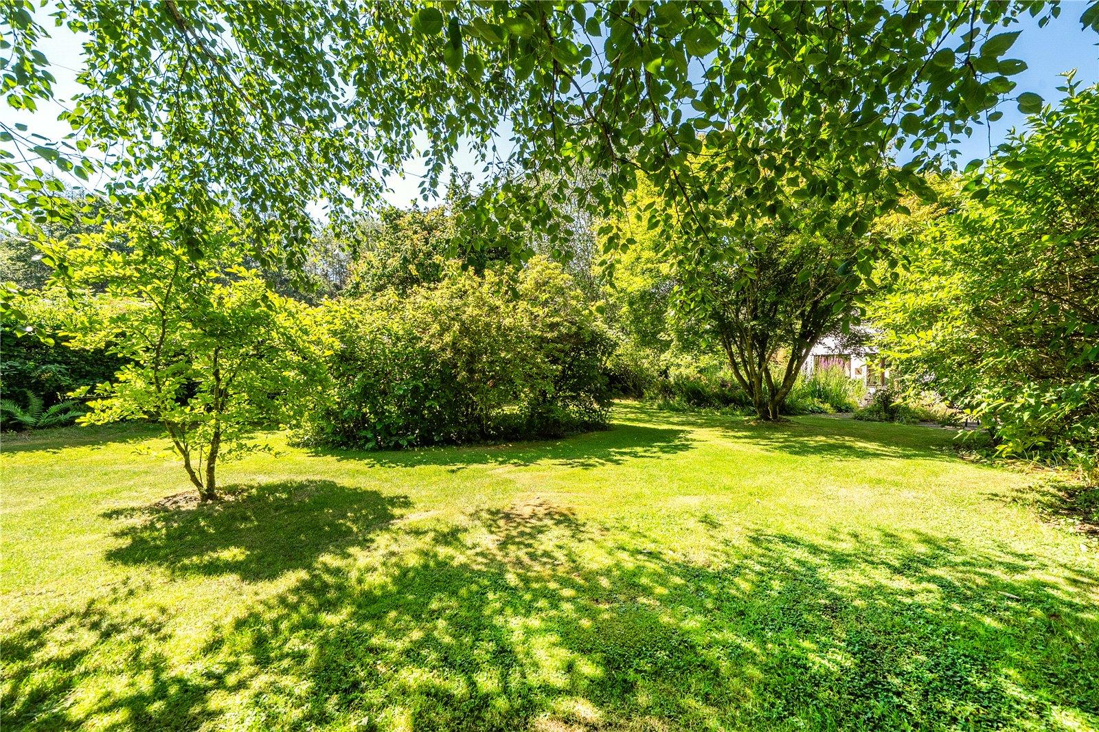 Property Image 634a0bca-6b01-4b2d-a1fe-4e3512e75792