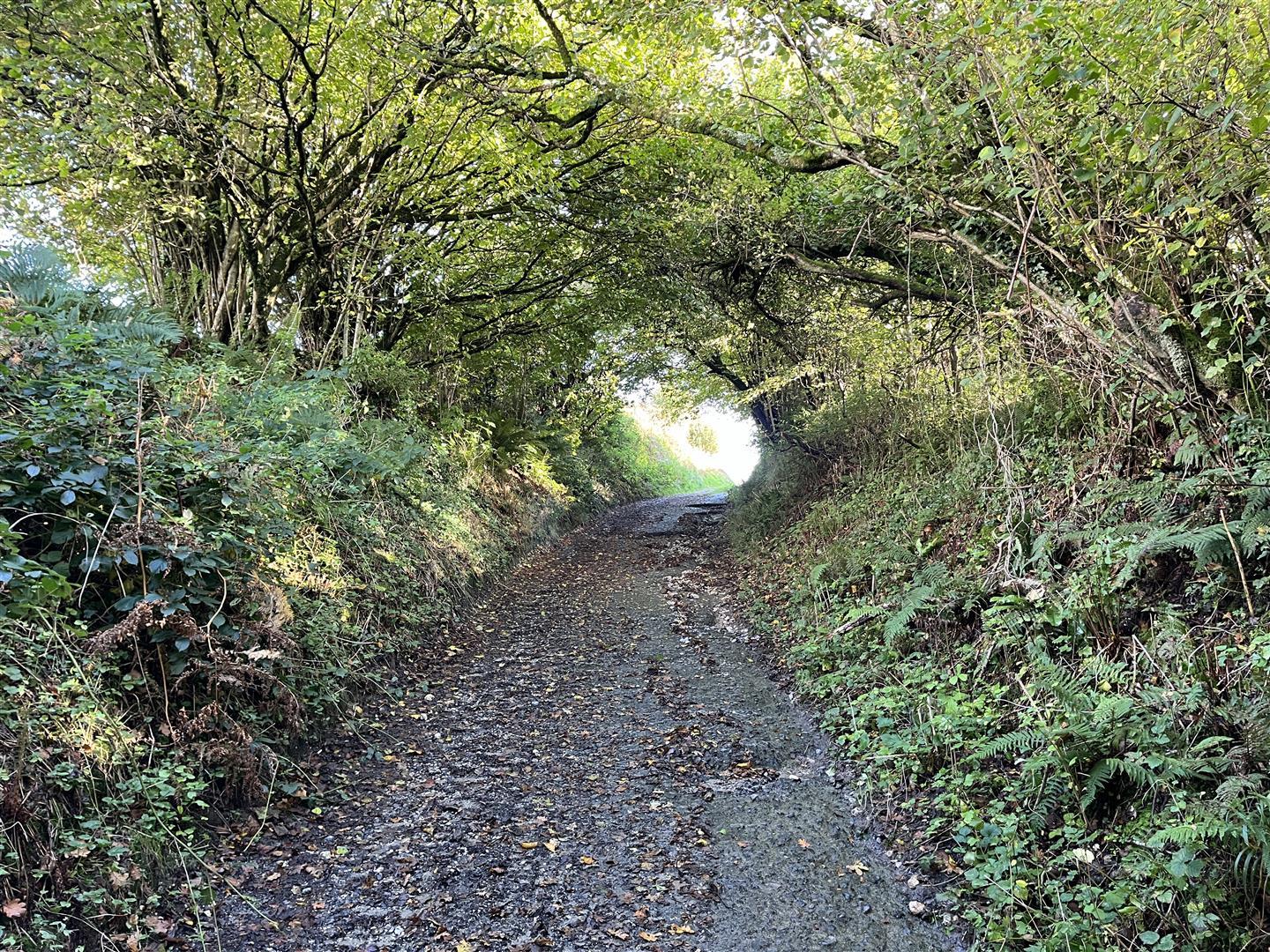 Property Image 63b7ab18-f032-4276-b8eb-fa52ca845828