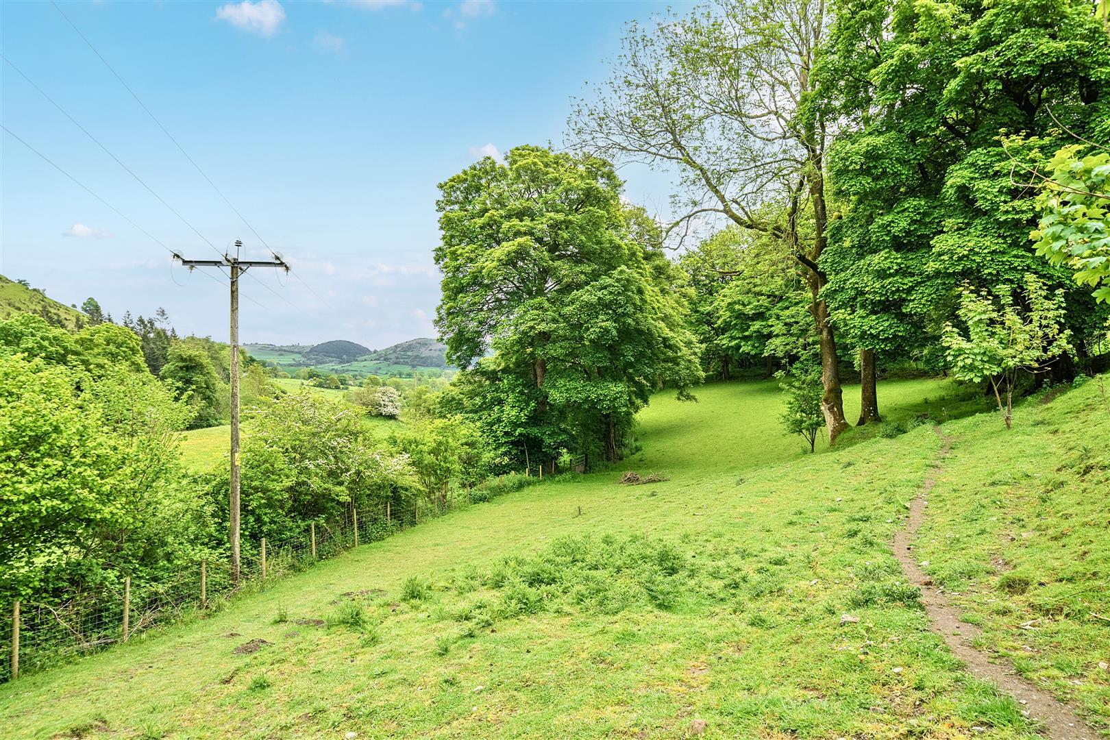 Property Image 63df8e04-c977-4429-addb-b7bac72a82c6