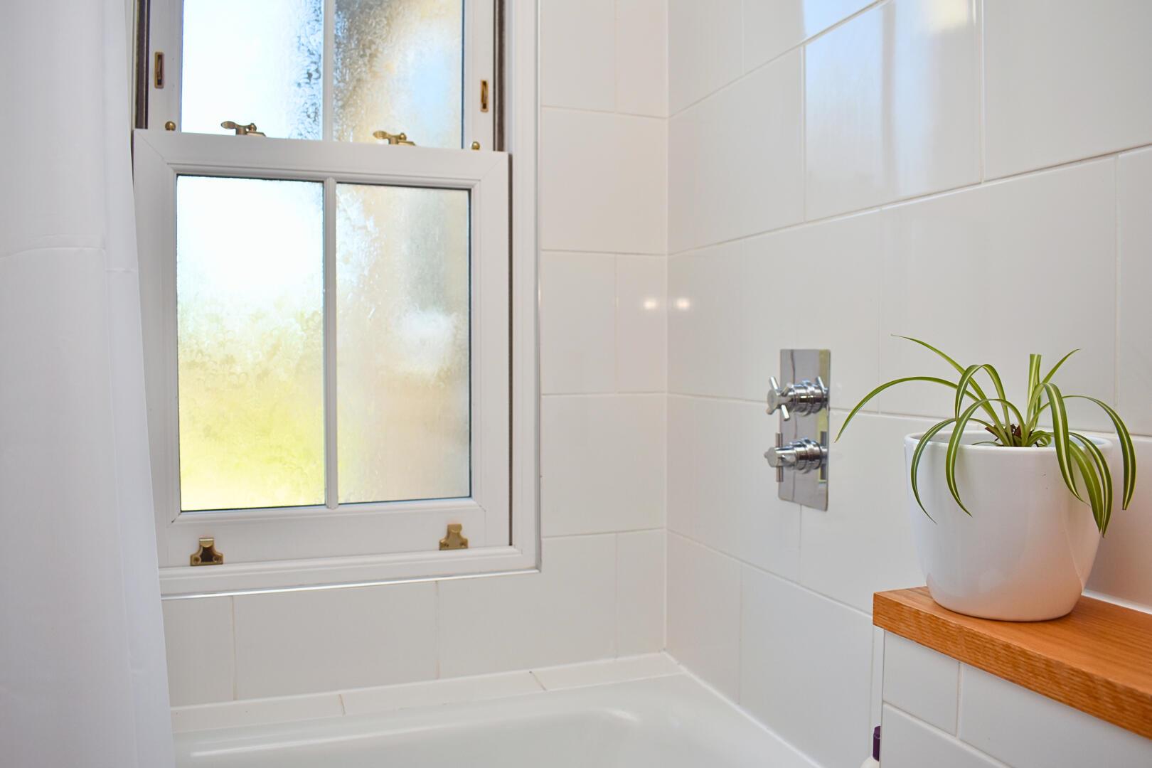 Property Image 63ec8a74-4e84-444a-8b17-d5976051499b
