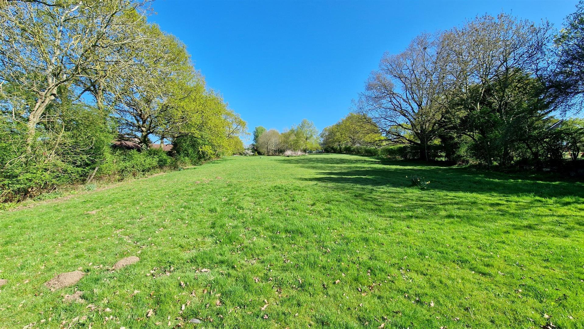 Property Image 63ef70f4-e323-43f8-b073-5acddd17155d