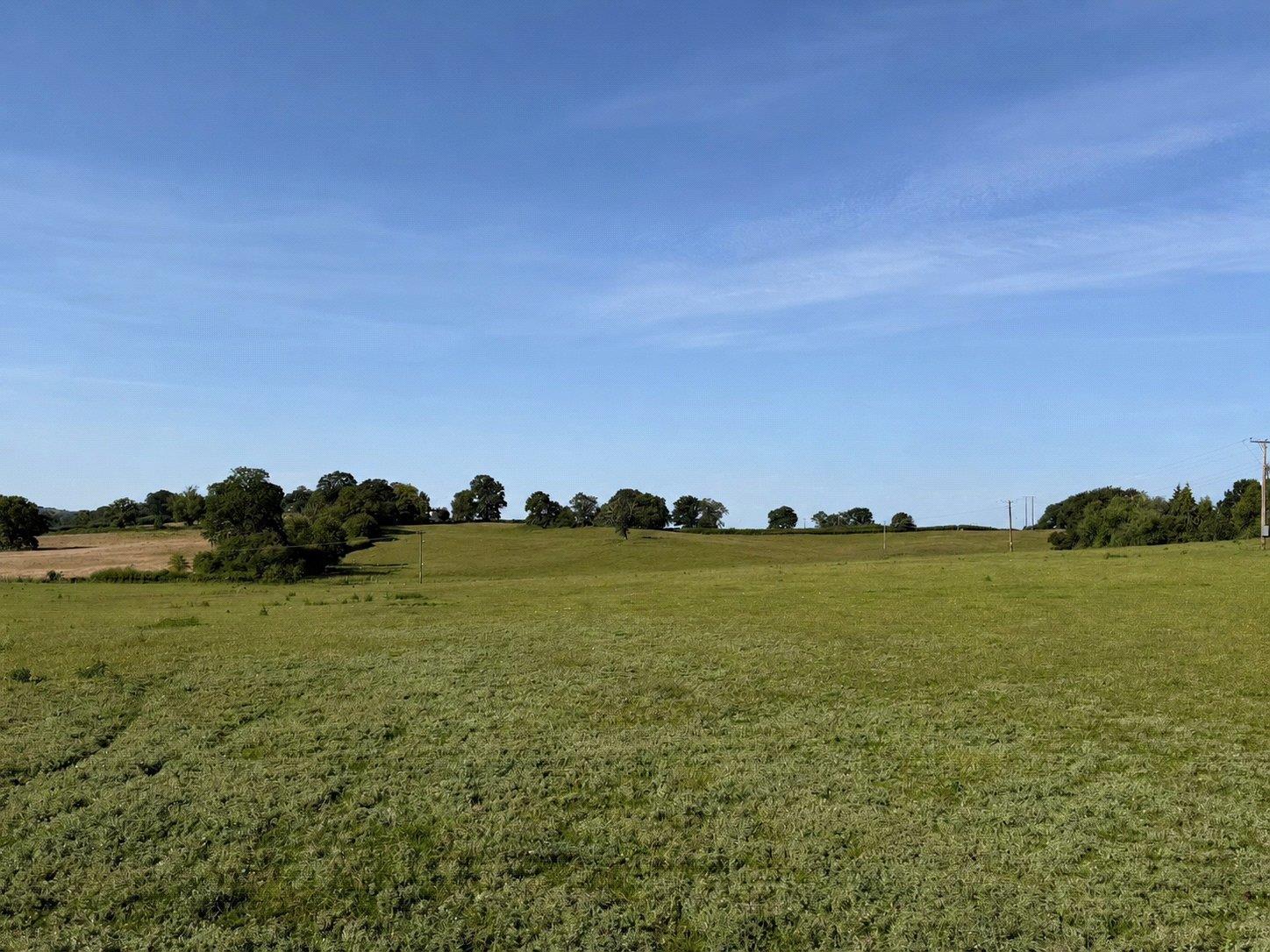Property Image 63fb70cd-fef5-470a-9d05-f8aa86ab78c9