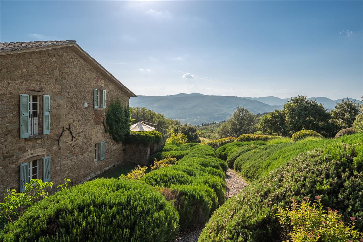 Property Image 6439377d-9616-4b1b-a9a9-9309de4fb08c