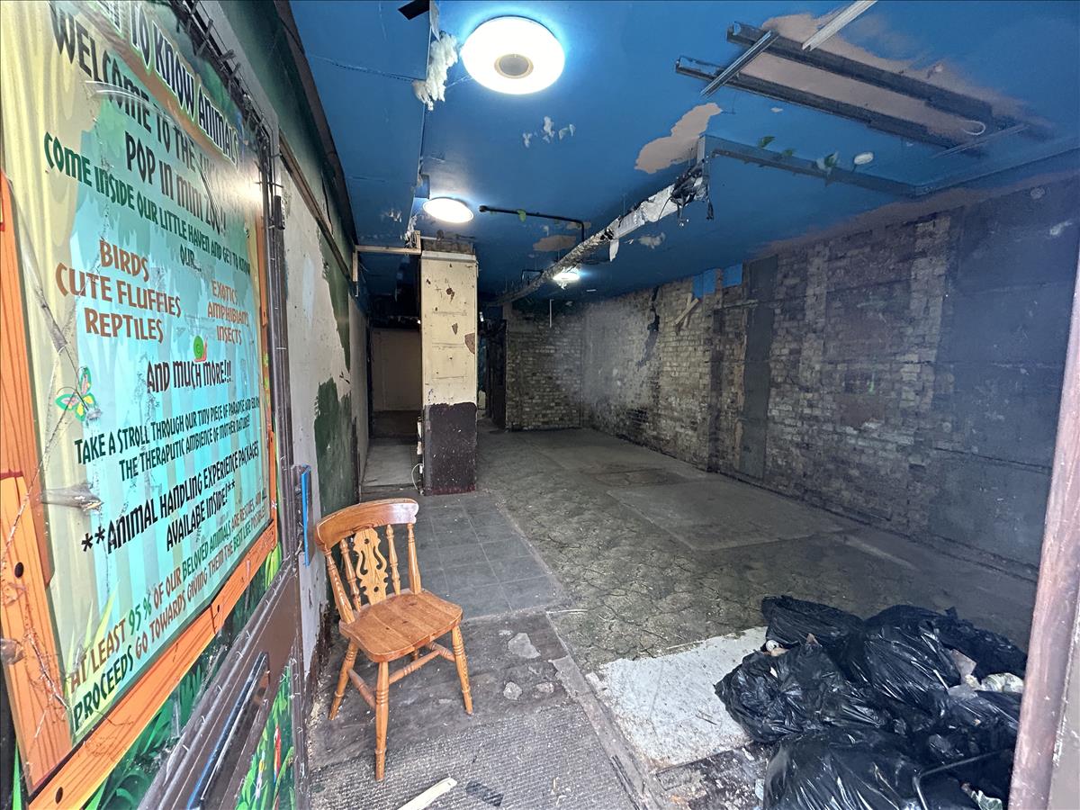 Property Image 64a34bc6-916c-4355-8a80-95fb36249ca4