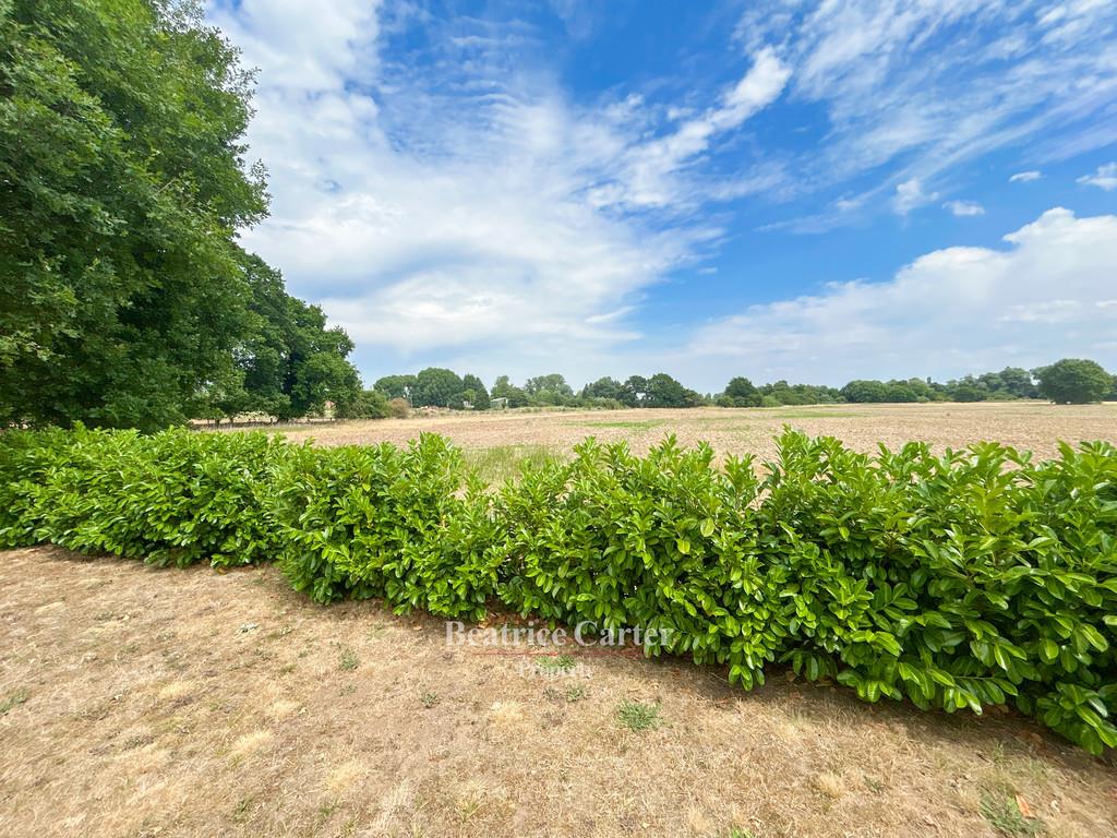 Property Image 6514cde6-4d5d-4a0a-84fc-d1e6c08bedfe
