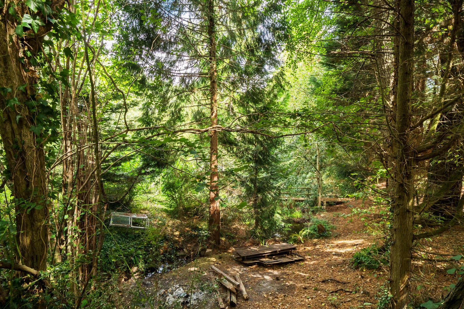 Property Image 6523ae7b-2d23-4260-a4ca-f50a43233de8