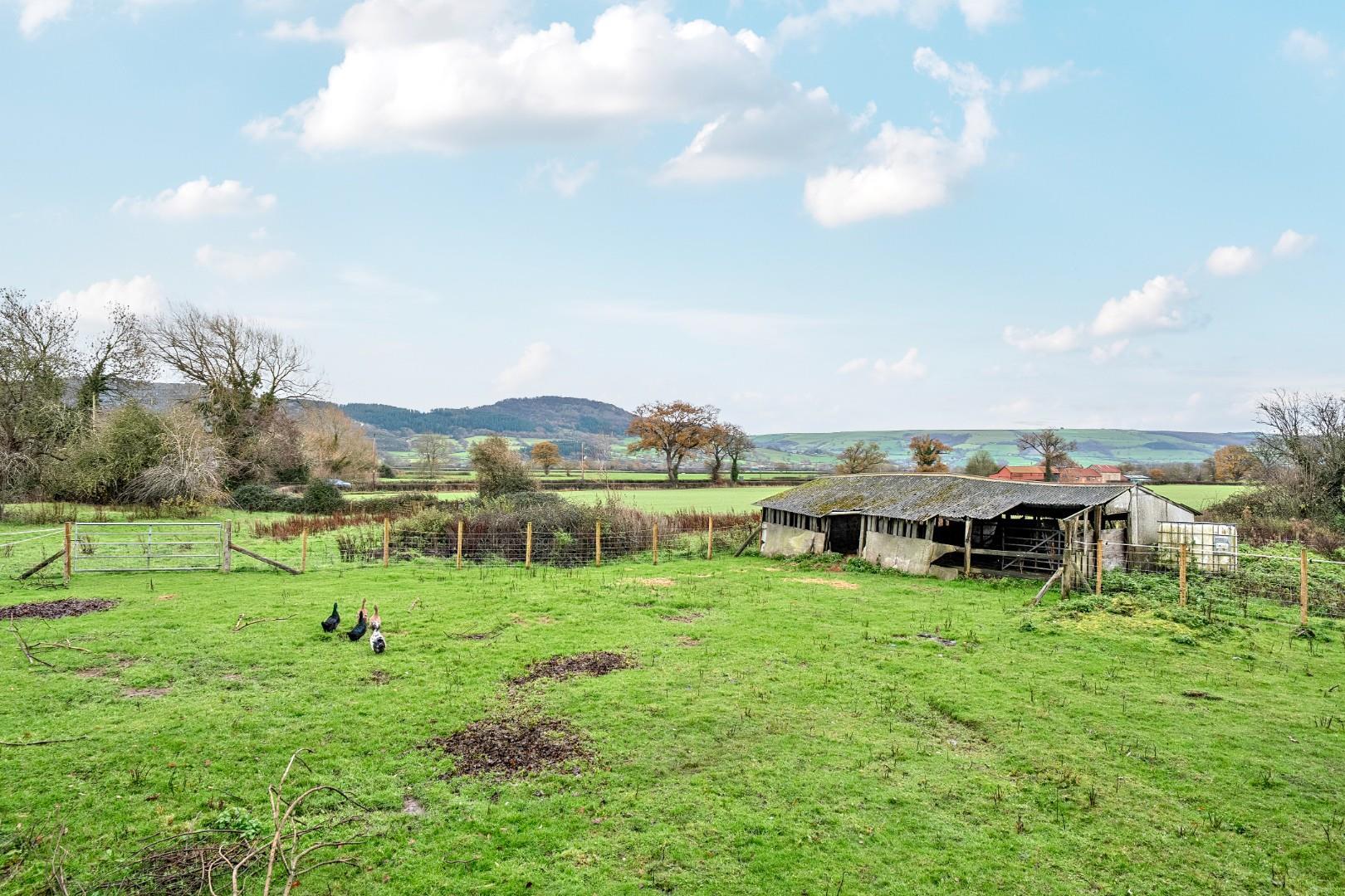 Property Image 653530d0-20b2-408d-847c-f43ff9e93262