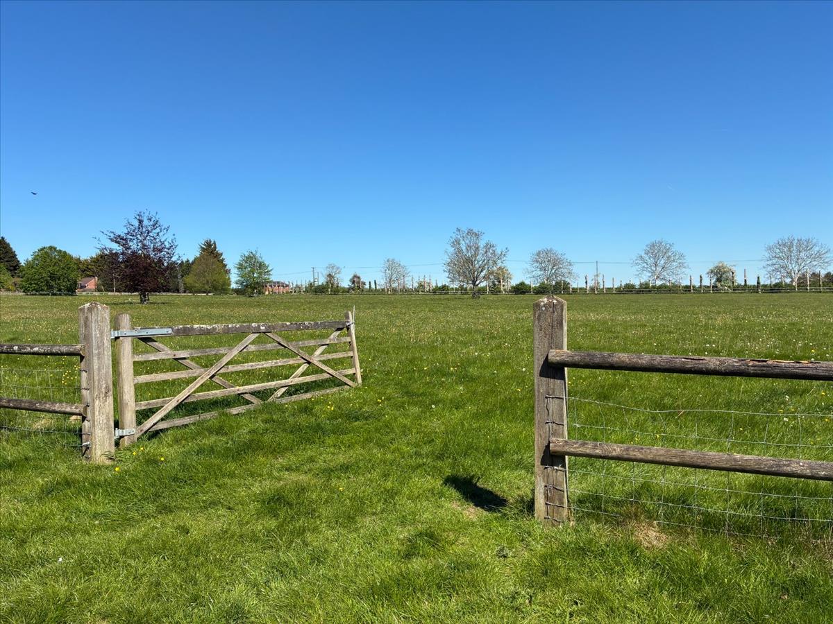 Property Image 656ff9f3-98f6-41bf-858a-2a9c0d77f405