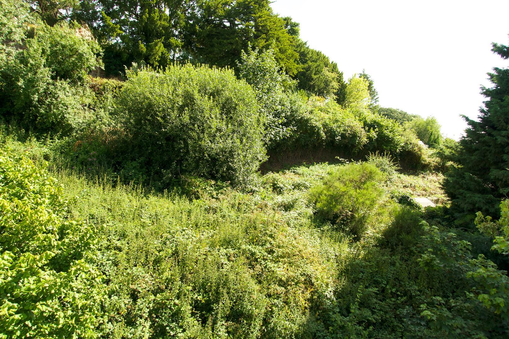 Property Image 658fa89a-2a3e-42ab-8874-f56bd875dfd2