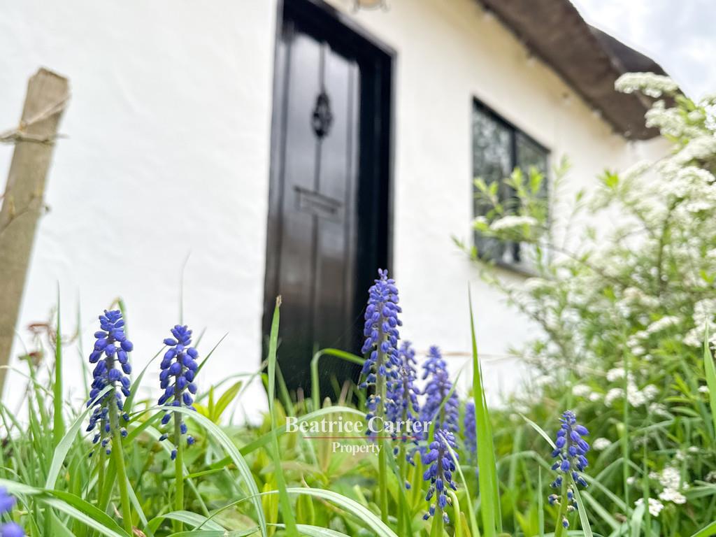Property Image 65b06edd-632a-4eac-b31f-625dbe82492f