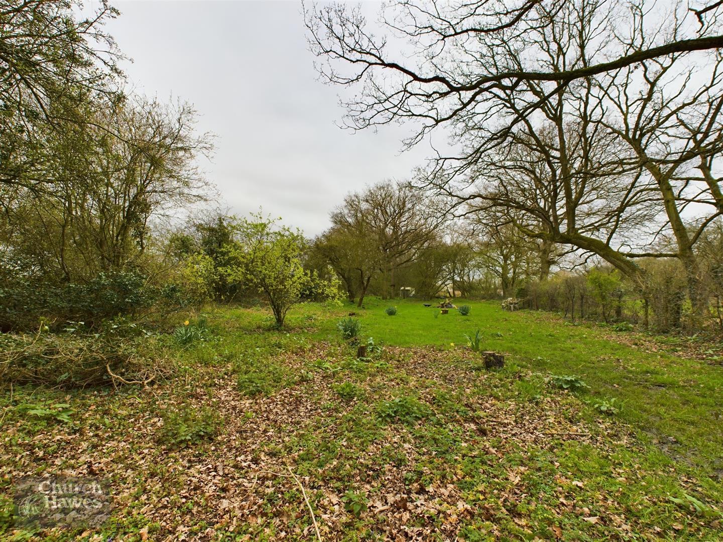 Image 29