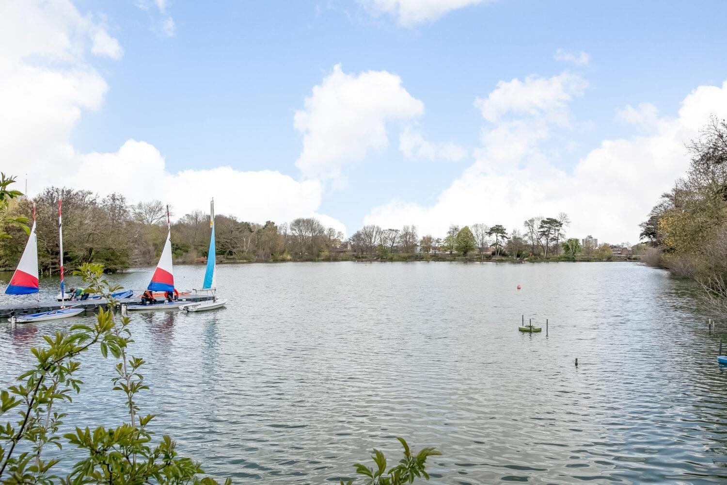 Property Image 66489a30-f421-48fd-9b99-cdeec732e58d