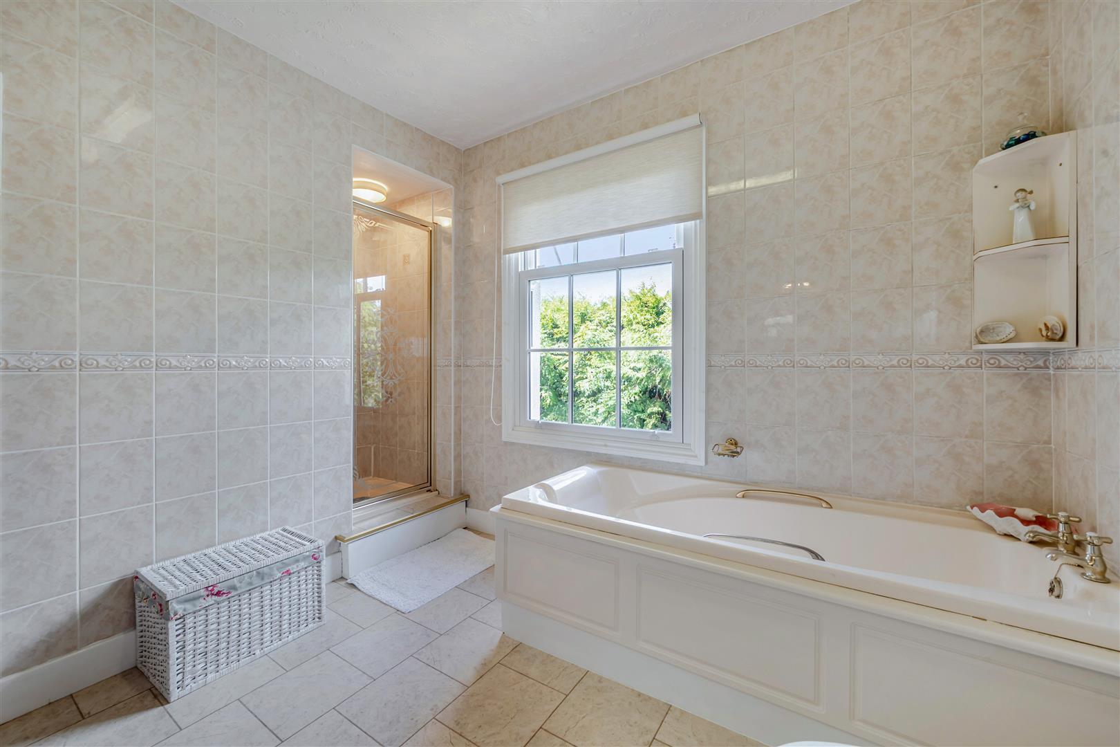 Property Image 6672e87c-fb93-4070-a357-c642ff017885