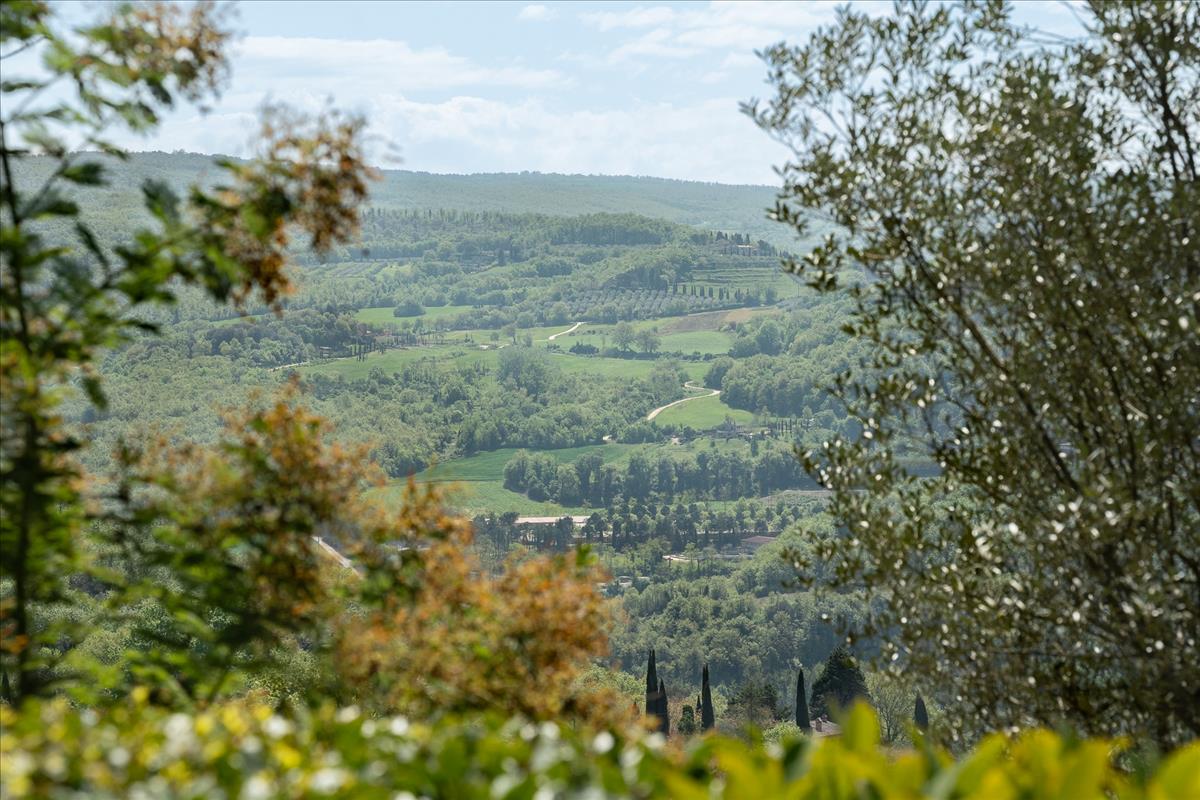 Property Image 66cdbbb1-c1c2-47b3-8b78-744fe3747cb3