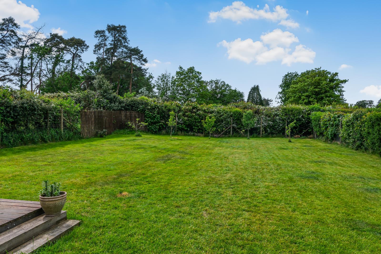 Property Image 66f302c9-4986-429c-bfbb-524c11e61cf1