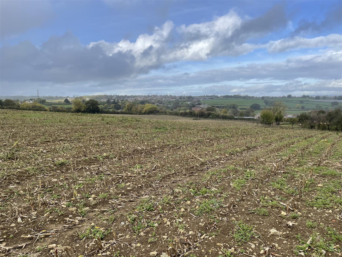 Property Image 66f348d2-d14b-4221-8f5e-2582d42c6b34