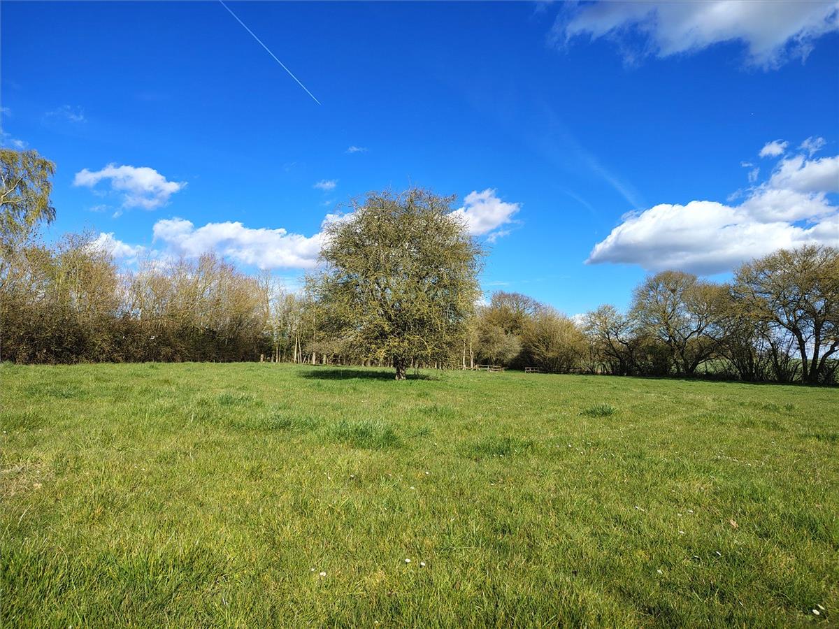 Property Image 66f9d1c4-2804-4eeb-9ef4-92593a03f0c2