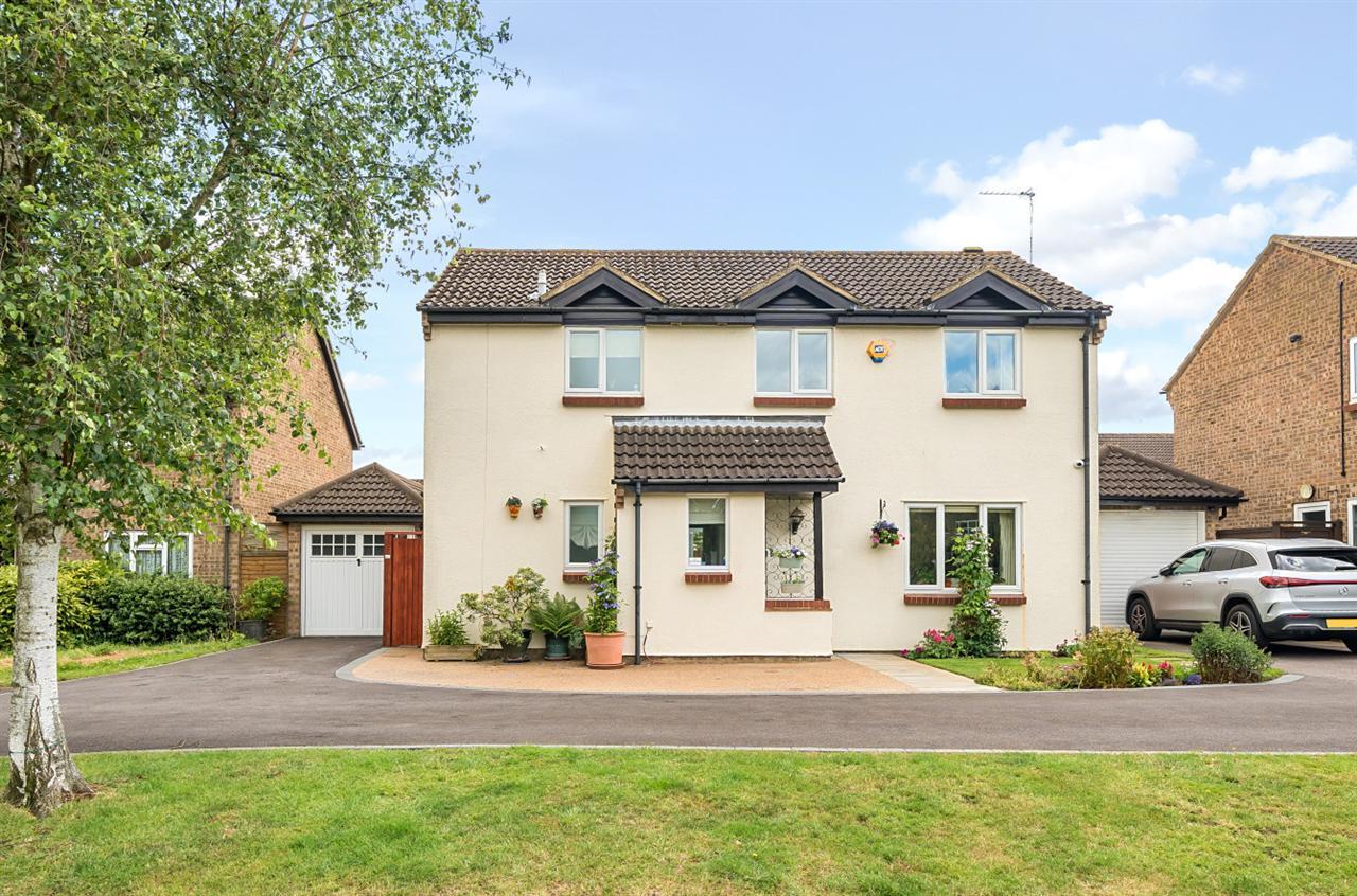 Property Image 67055f70-c292-4e08-aa7f-d9f74f10a734