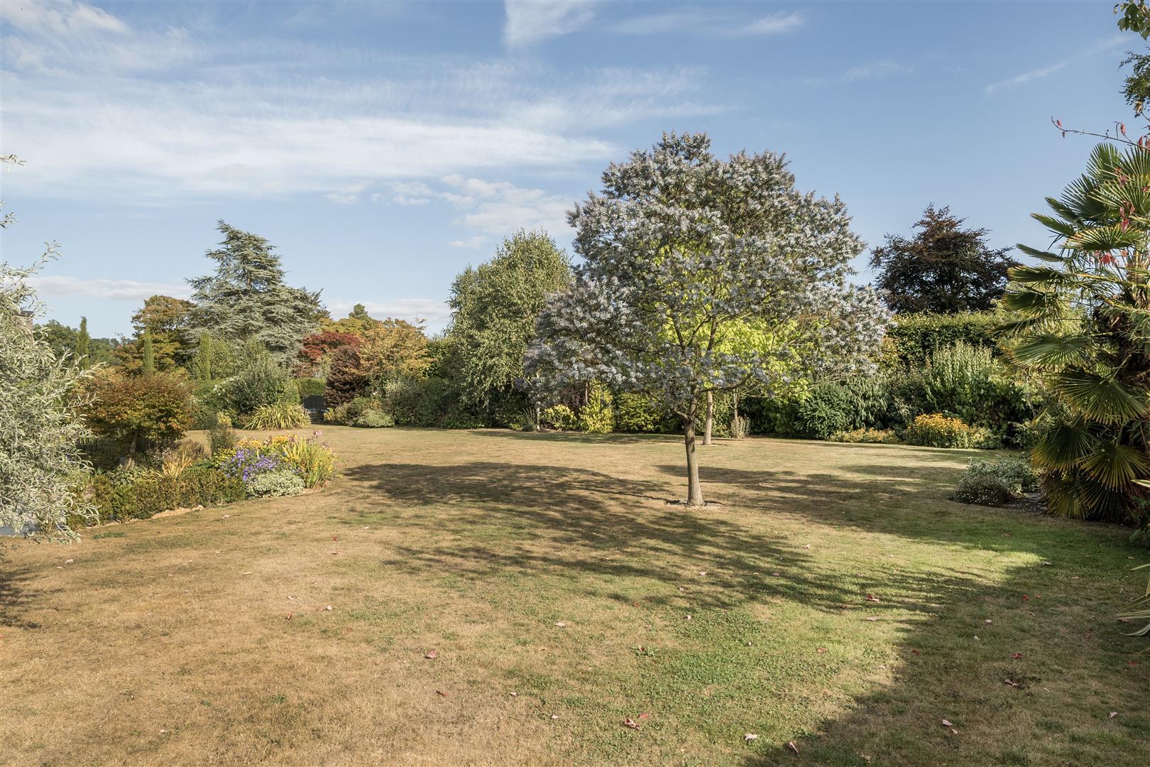 Property Image 672ae606-95ad-4584-a970-dfd8e989a9dd