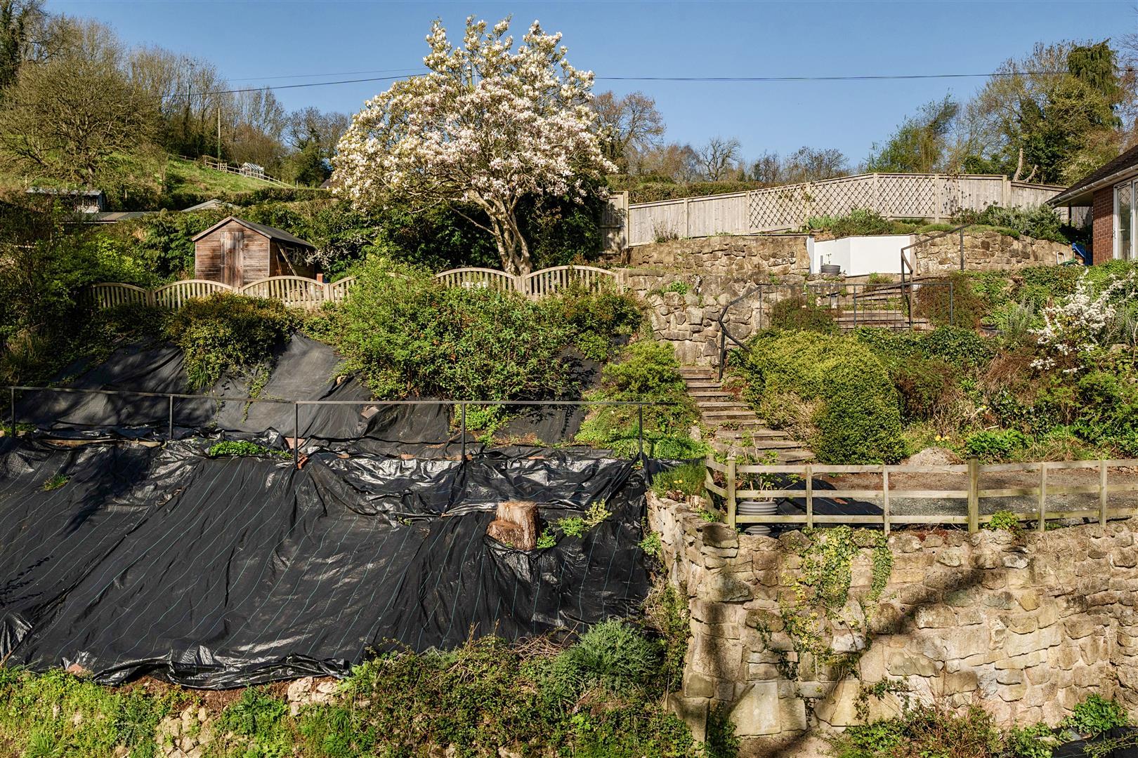 Property Image 672ea897-fc2e-4e00-80e5-e962f1861bbb