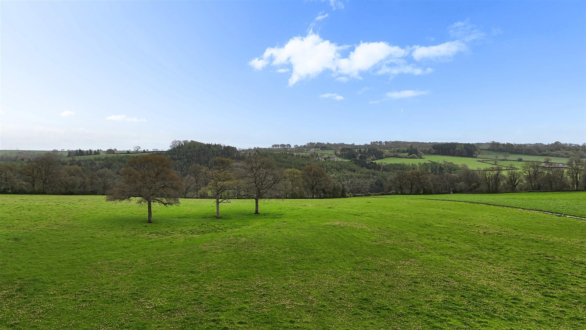 Property Image 67bbb85a-d24c-4781-b852-aba14a7d94e6