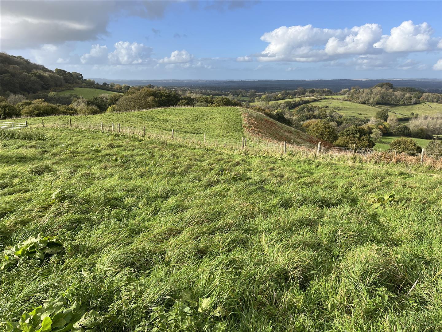 Property Image 67c54277-1e3c-4444-8fc1-df9558a48bfc