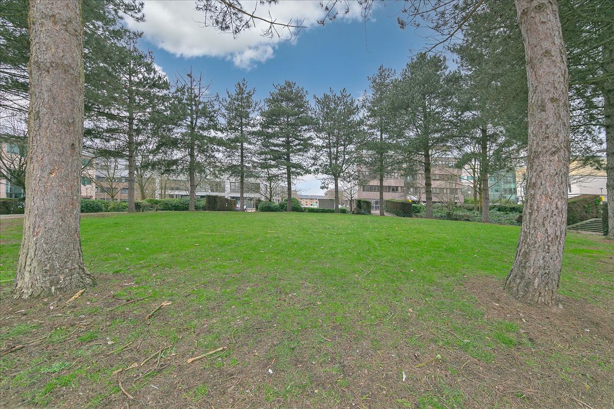 Property Image 67c5f0f7-ad83-4535-b3ad-3f0db88cf365